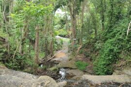 Martin's Creek waterfalls Buderim