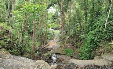 Martin's Creek waterfalls Buderim