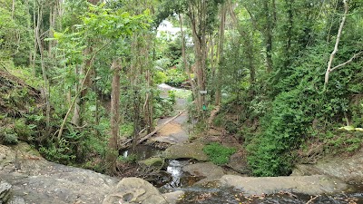 Martin's Creek waterfalls Buderim