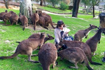 National Parks in Ballarat