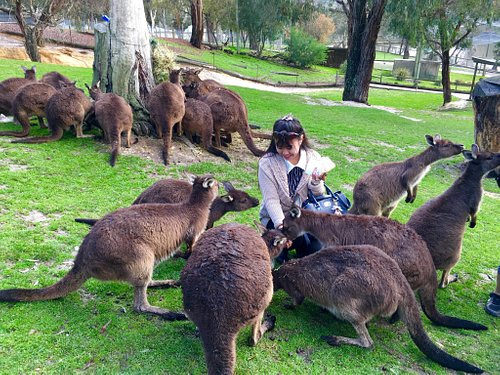 National Parks in Ballarat