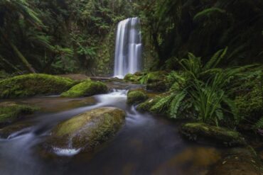 National Parks in Geelong