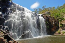 National Parks in Melbourne