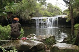 National Parks in Wollongong