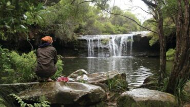 National Parks in Wollongong