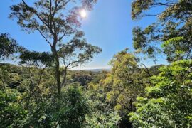 New Lambton Heights Lookout New Lambton Heights