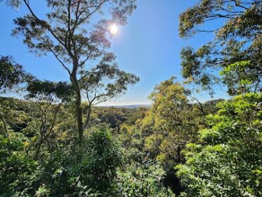 New Lambton Heights Lookout New Lambton Heights