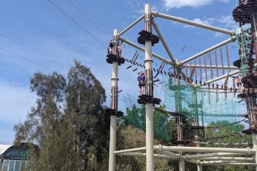 Next Level - High Ropes Adventure Park Maroochydore