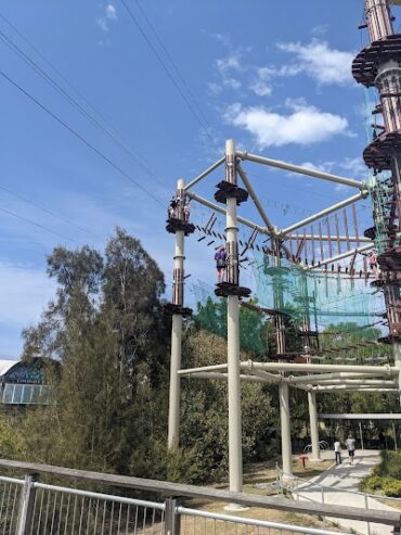 Next Level - High Ropes Adventure Park Maroochydore