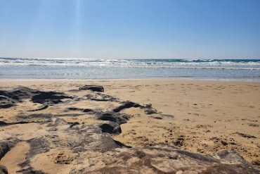 Off leash dog beach Coolum Beach