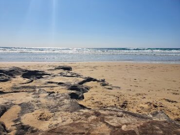 Off leash dog beach Coolum Beach