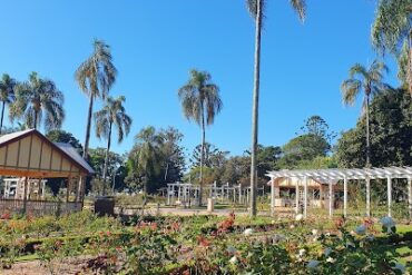 Queensland State Rose Garden Newtown