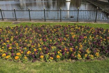 Roath Park Cardiff