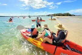 Seaway Kayaking Tours Biggera Waters