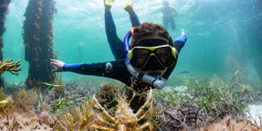 Snorkelling Locations in Adelaide