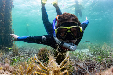 Snorkelling Locations in Adelaide