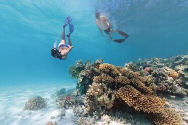 Snorkelling Locations in Brisbane