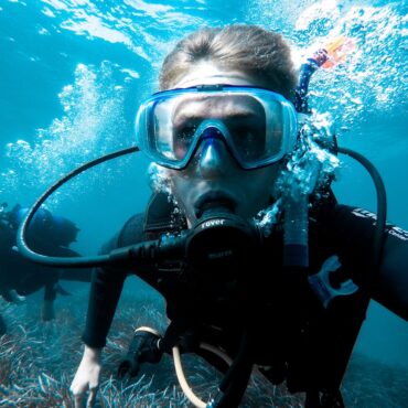 Snorkelling Locations in Launceston