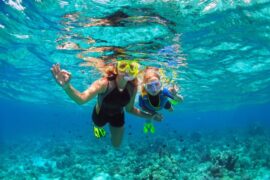 Snorkelling Locations in Newcastle