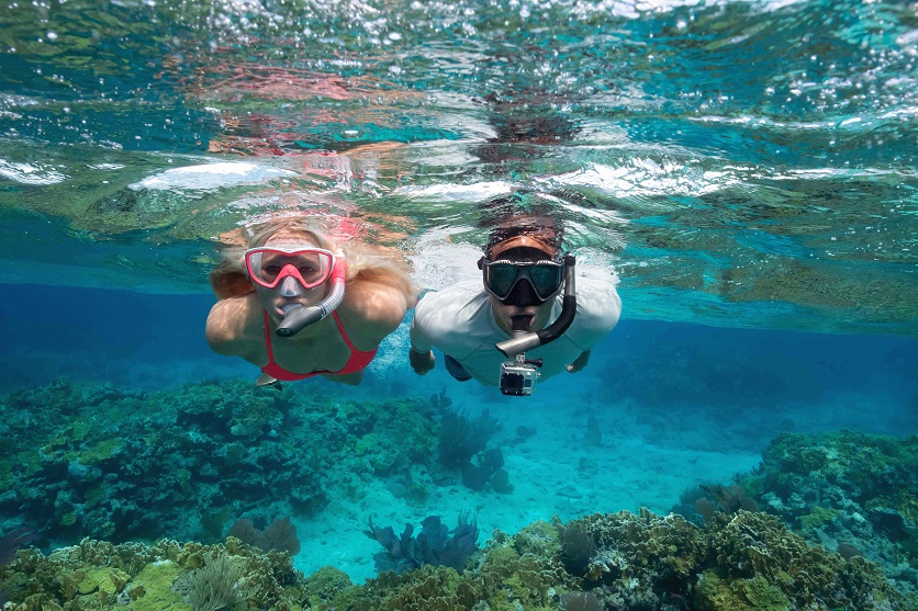 Snorkelling Locations in Sunshine Coast