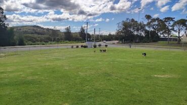 Speers Point Fenced Dog Exercise Area Speers Point