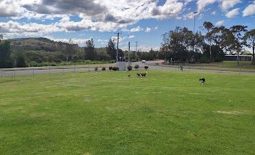 Speers Point Fenced Dog Exercise Area Speers Point