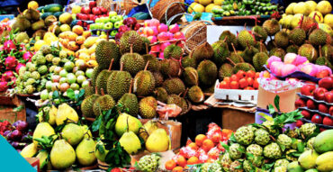 Sunday Markets in Darwin