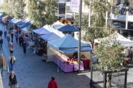 Sunday Markets in Wollongong