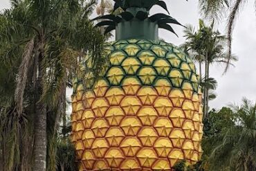 The Big Pineapple Woombye