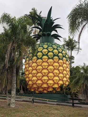 The Big Pineapple Woombye