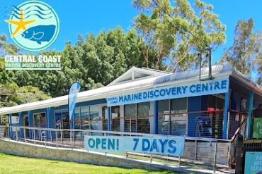 The Central Coast Marine Discovery Centre Terrigal