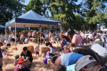 Things to do at Easter for Kids in Bendigo