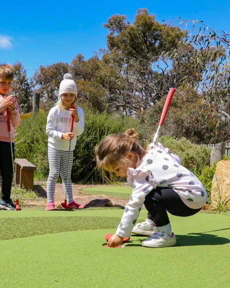 Things to do with Kids in the Suburb of Anglesea Victoria