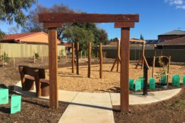 Things to do with Kids in the Suburb of Ascot Park Adelaide