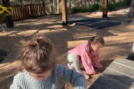 Things to do with Kids in the Suburb of Boonah Queensland