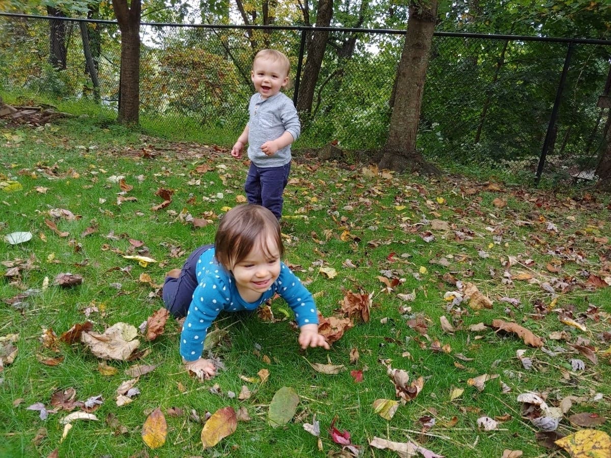 Things to do with Kids in the Suburb of Bridgewater  Hobart