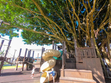 Things to do with Kids in the Suburb of Cairns City Cairns