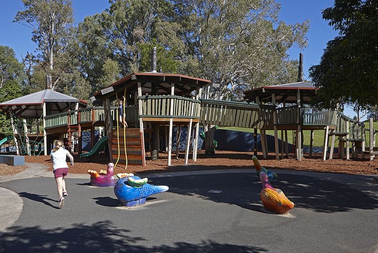 Things to do with Kids in the Suburb of Clayfield Brisbane City