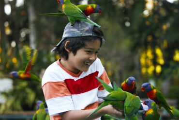 Things to do with Kids in the Suburb of Clovelly Park Adelaide