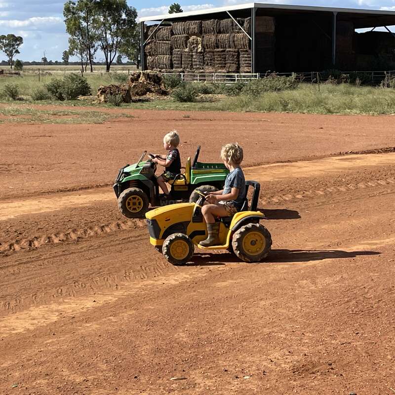 Things to do with Kids in the Suburb of Condobolin New South Wales