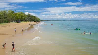 Things to do with Kids in the Suburb of Craignish Queensland