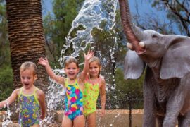 Things to do with Kids in the Suburb of Dubbo Dubbo