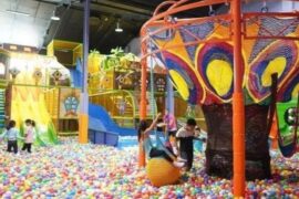 Things to do with Kids in the Suburb of Epping Melbourne