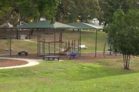 Things to do with Kids in the Suburb of Holland Park West Brisbane City