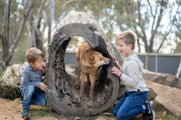 Things to do with Kids in the Suburb of Kyabram Victoria