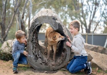 Things to do with Kids in the Suburb of Kyabram Victoria