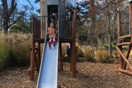 Things to do with Kids in the Suburb of Kyneton Victoria