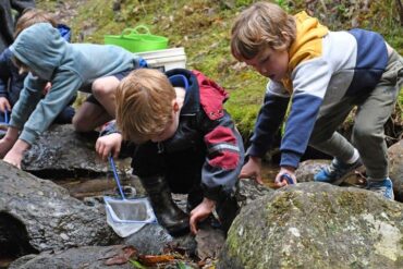 Things to do with Kids in the Suburb of Lindisfarne Hobart