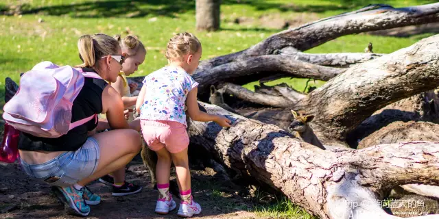 Things to do with Kids in the Suburb of Lobethal South Australia