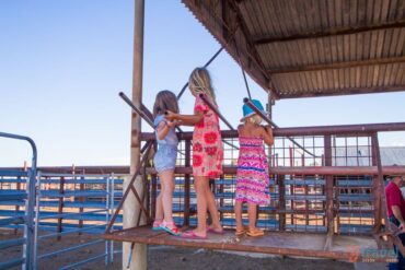 Things to do with Kids in the Suburb of Longreach Queensland